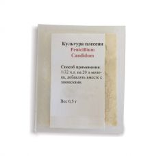 Культура плесени Penicillium Candidum в Курске